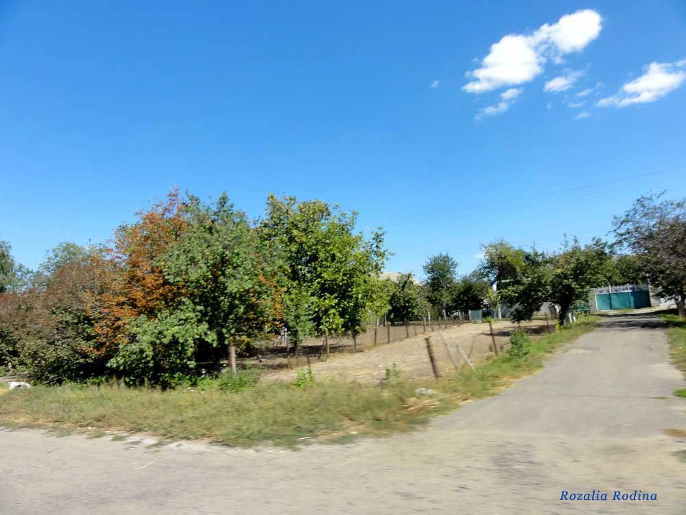 Заря (Саратский р-н)