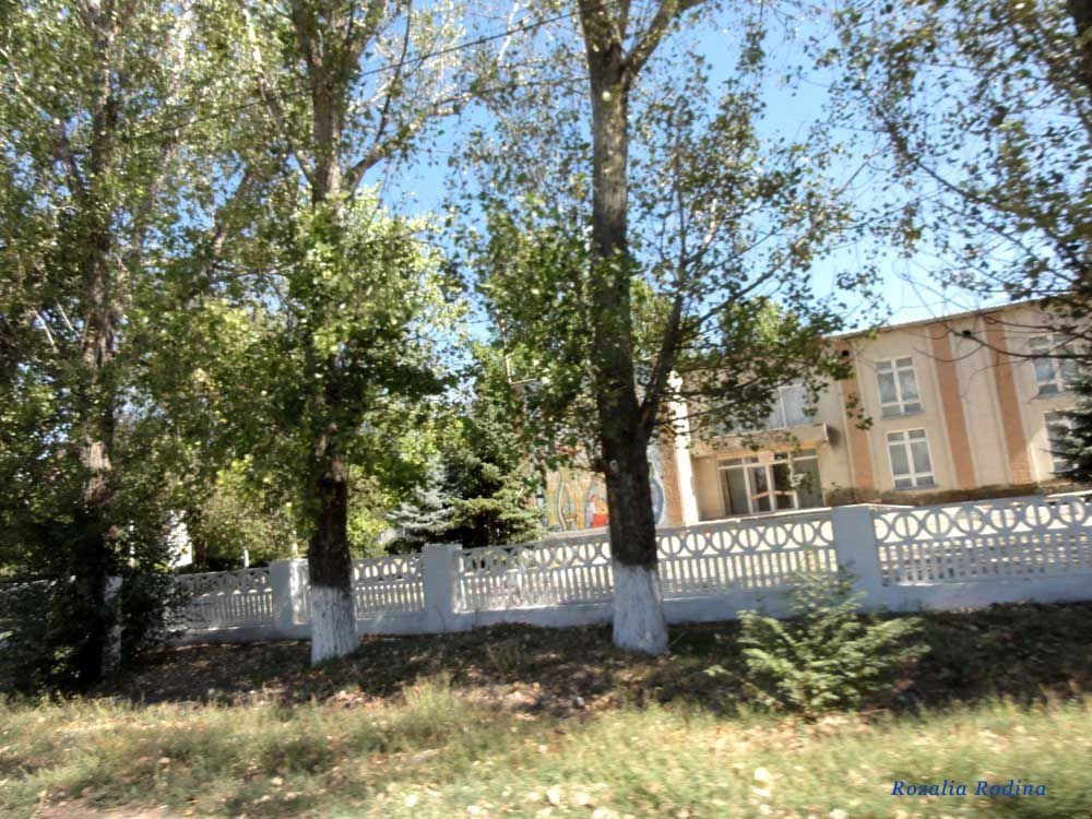 Михайловка (Саратский р-н)
