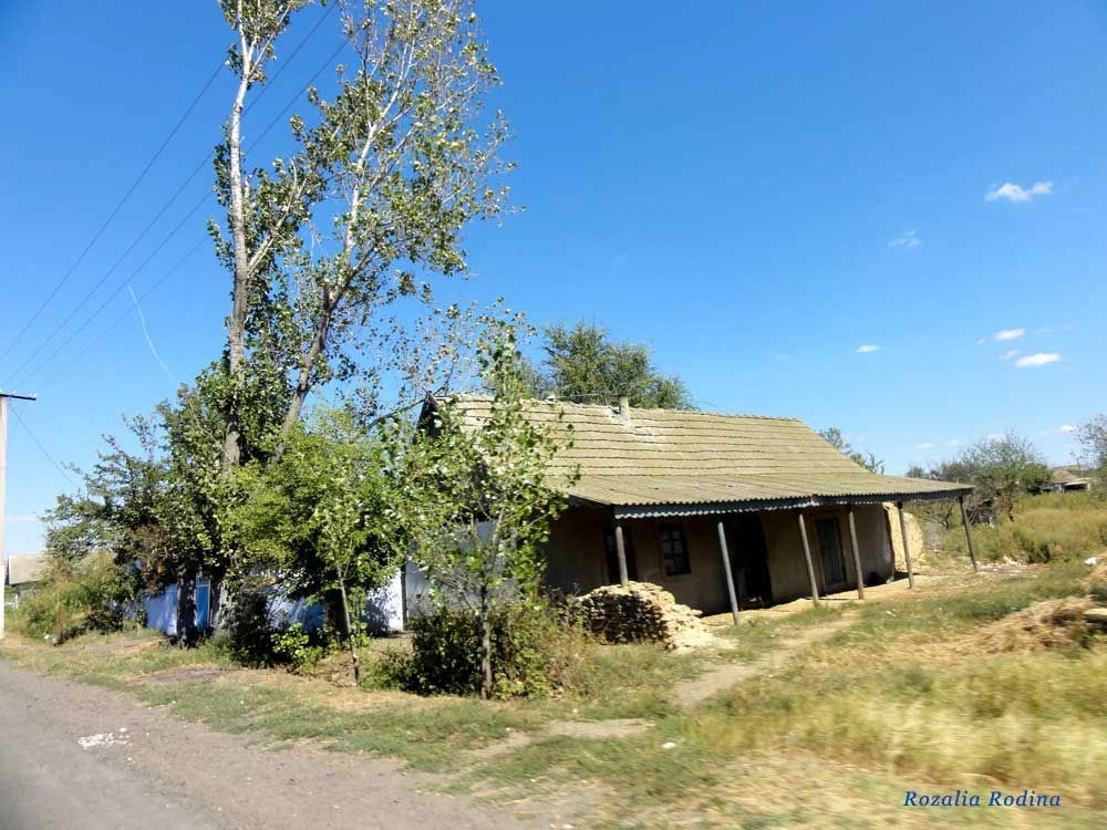 Михайловка (Саратский р-н)