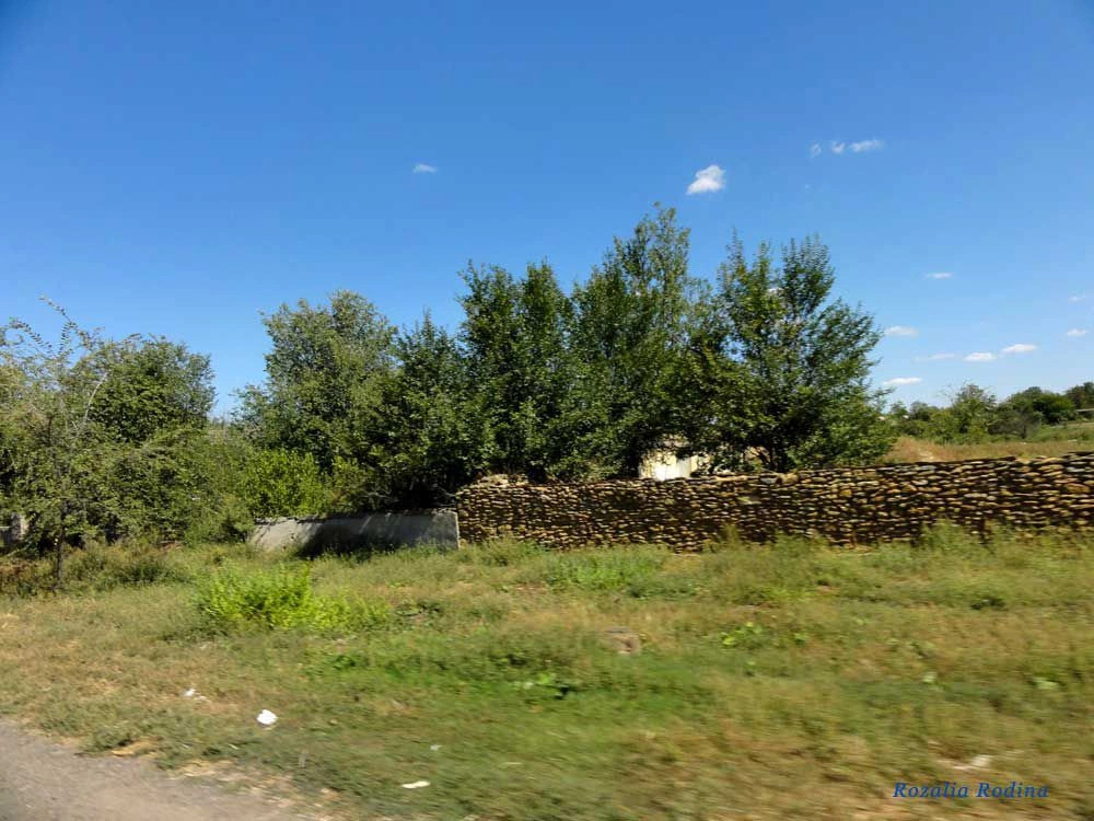 Михайловка (Саратский р-н)