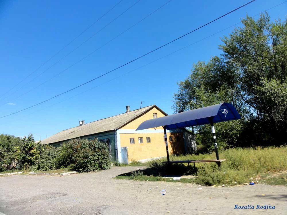 Михайловка (Саратский р-н)