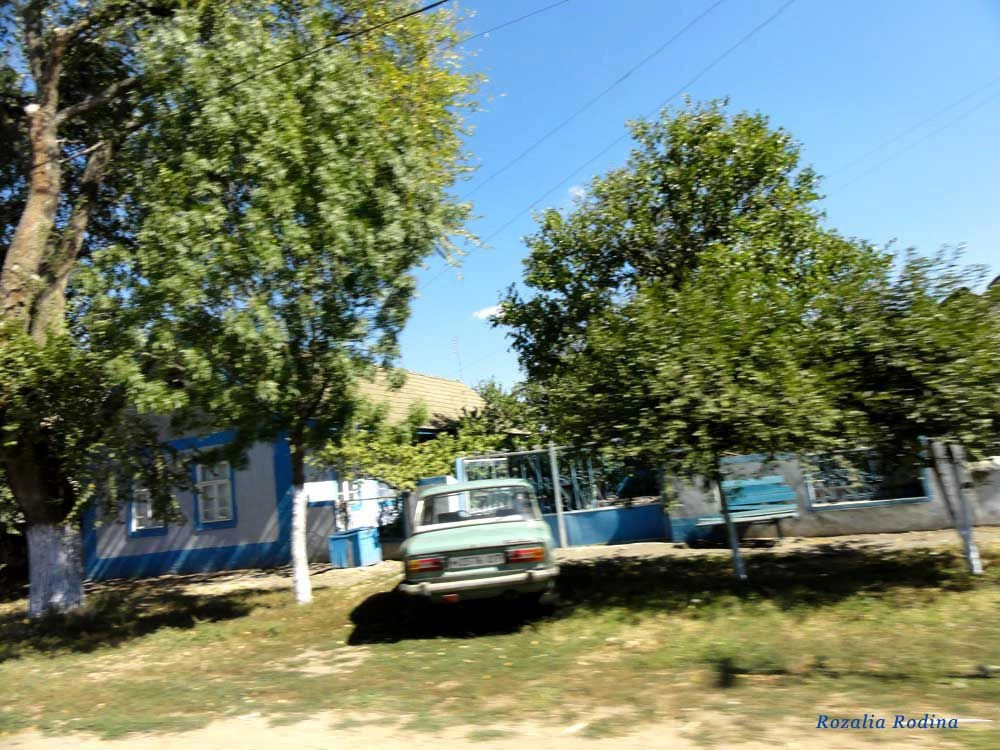 Михайловка (Саратский р-н)