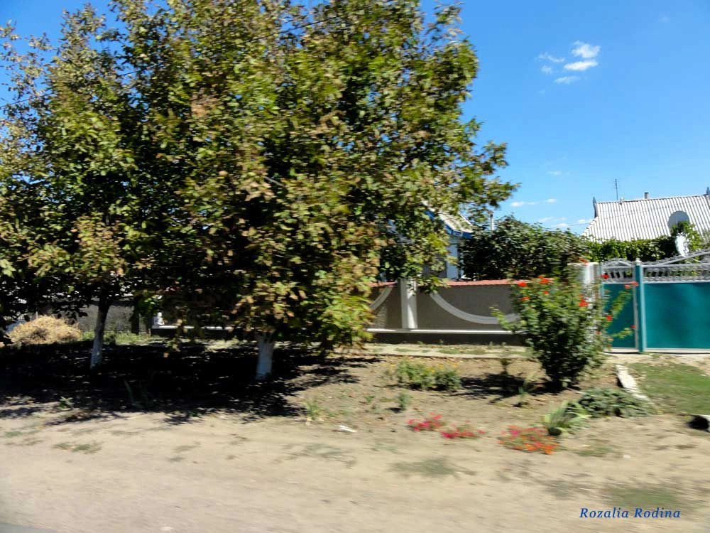 Михайловка (Саратский р-н)