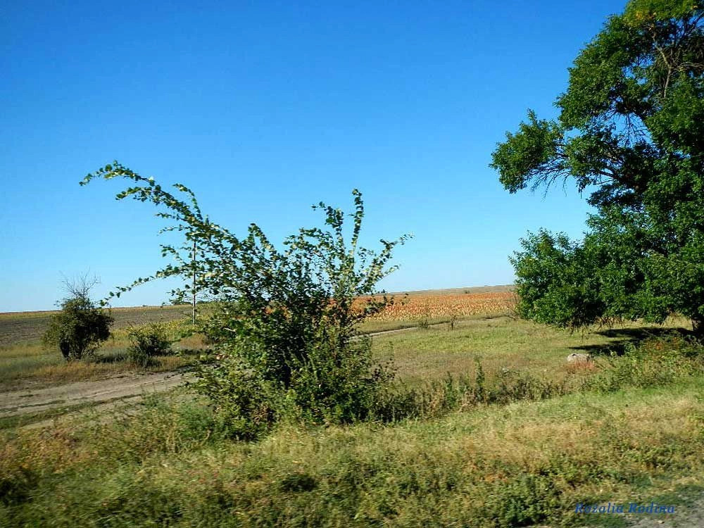 Баштановка