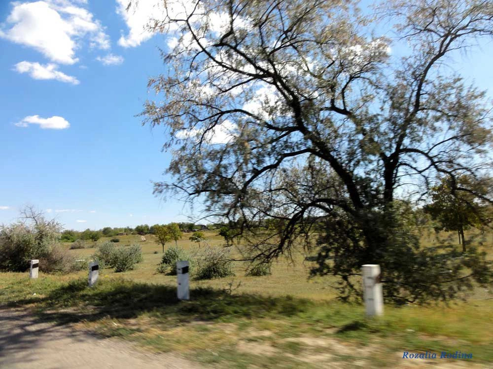 Баштановка