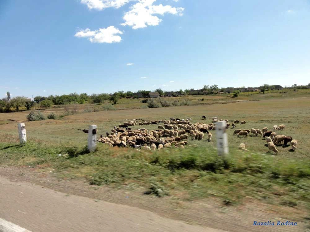 Баштановка