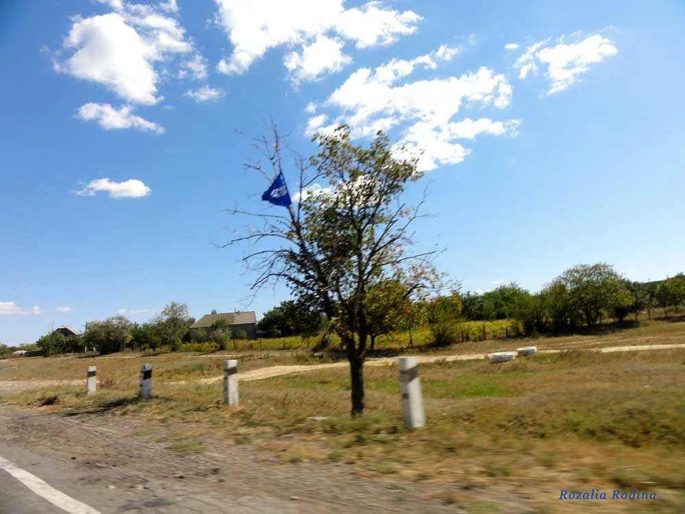 Баштановка