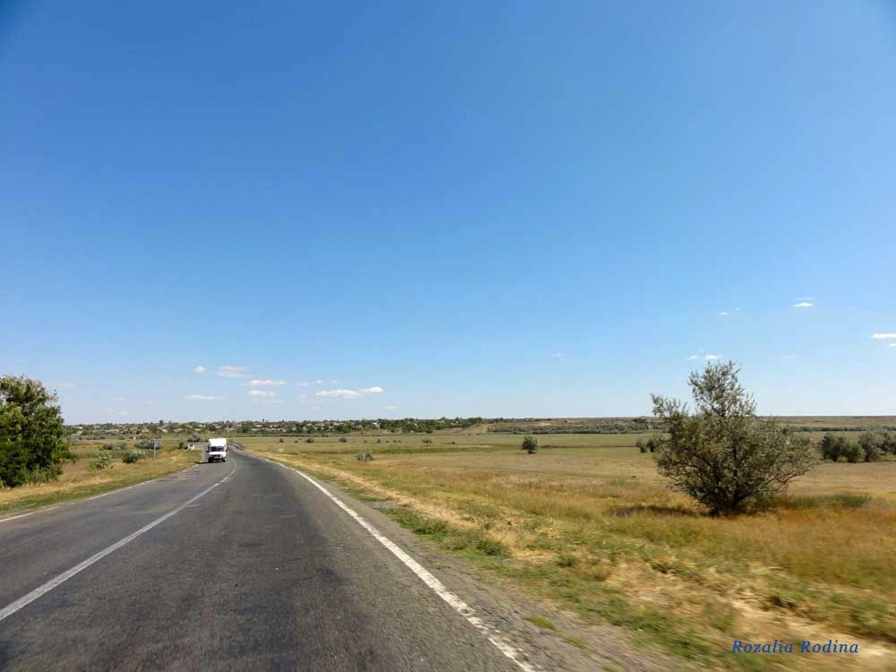 Белолесье