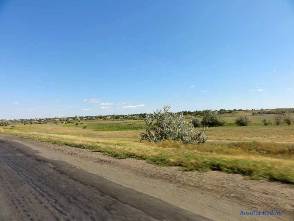 Белолесье