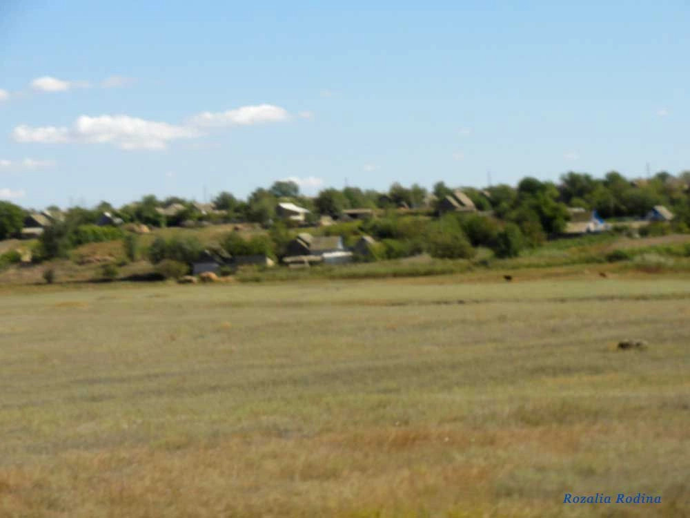 Белолесье