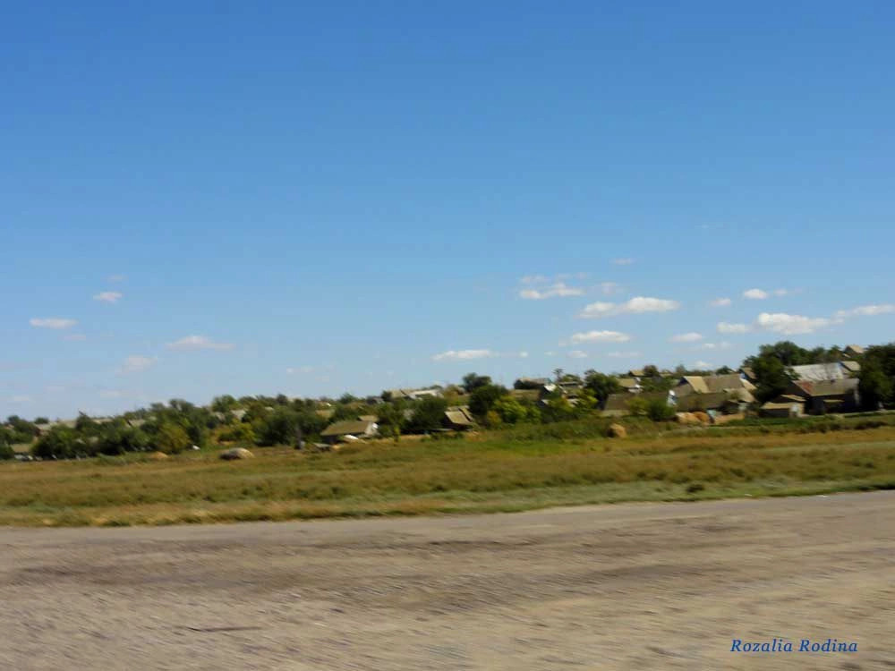 Белолесье