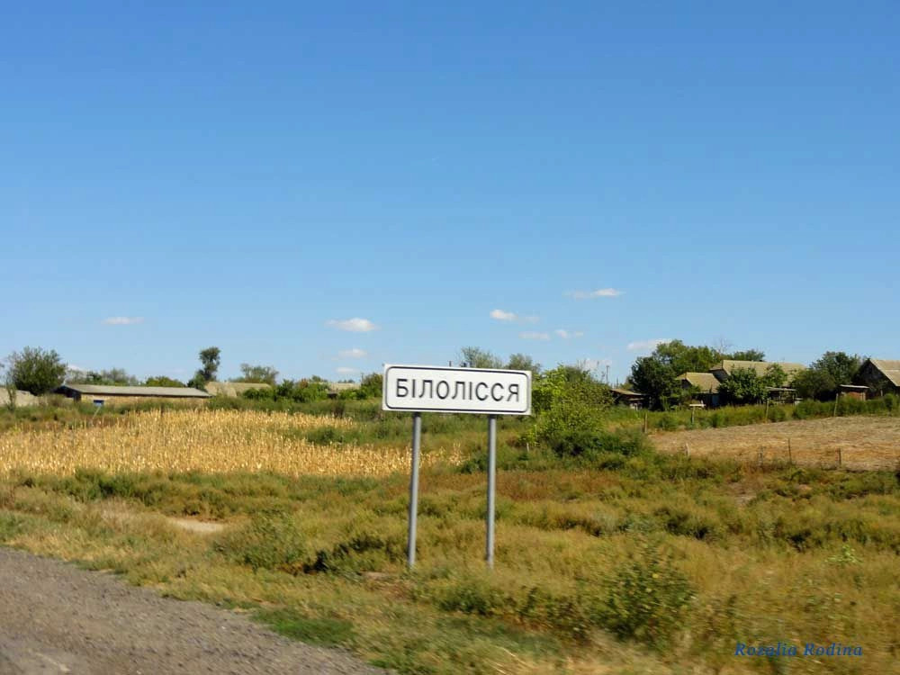 Белолесье