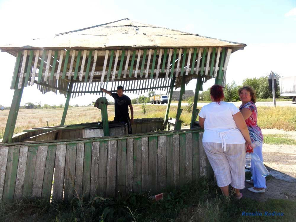 Белолесье