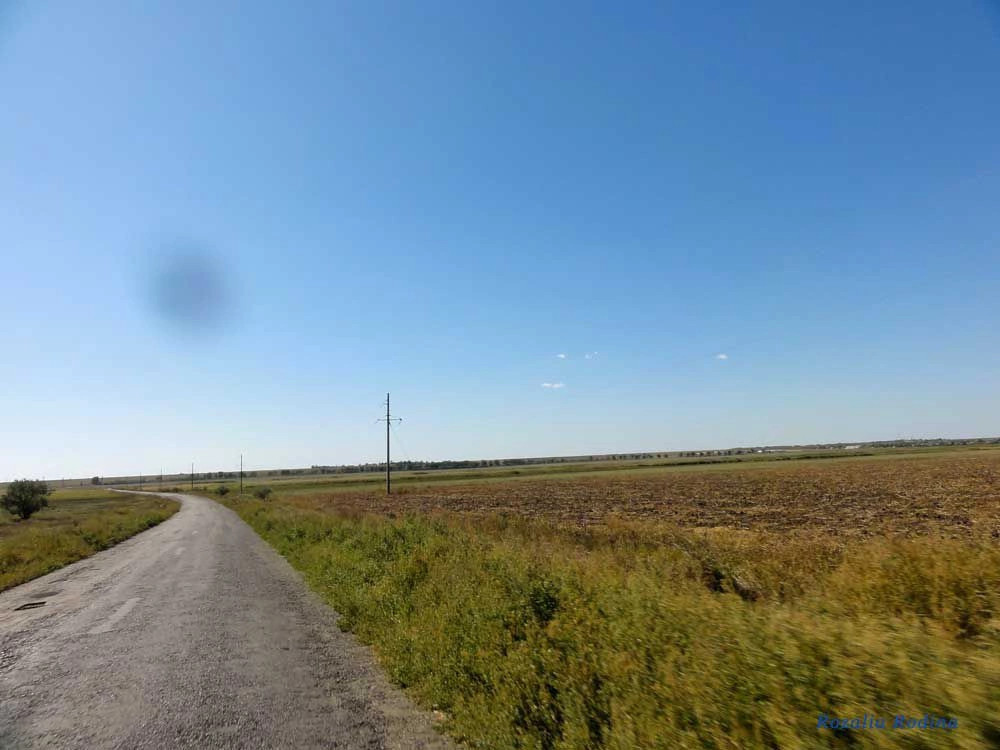 Дивизия
