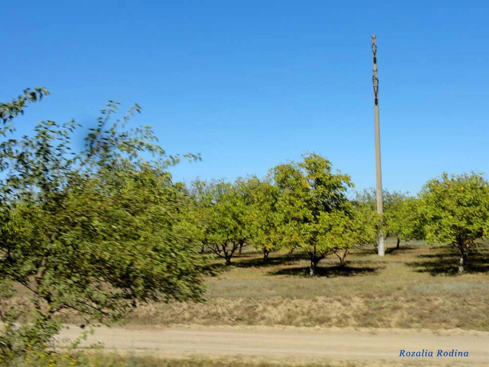 Весёлое (Татарбунарский р-н)