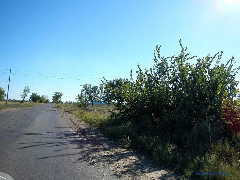 Спасское (Татарбунарский р-н)