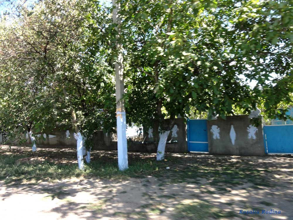 Спасское (Татарбунарский р-н)