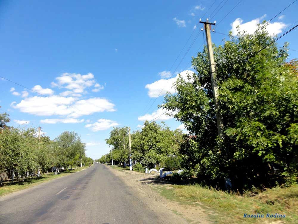 Спасское (Татарбунарский р-н)