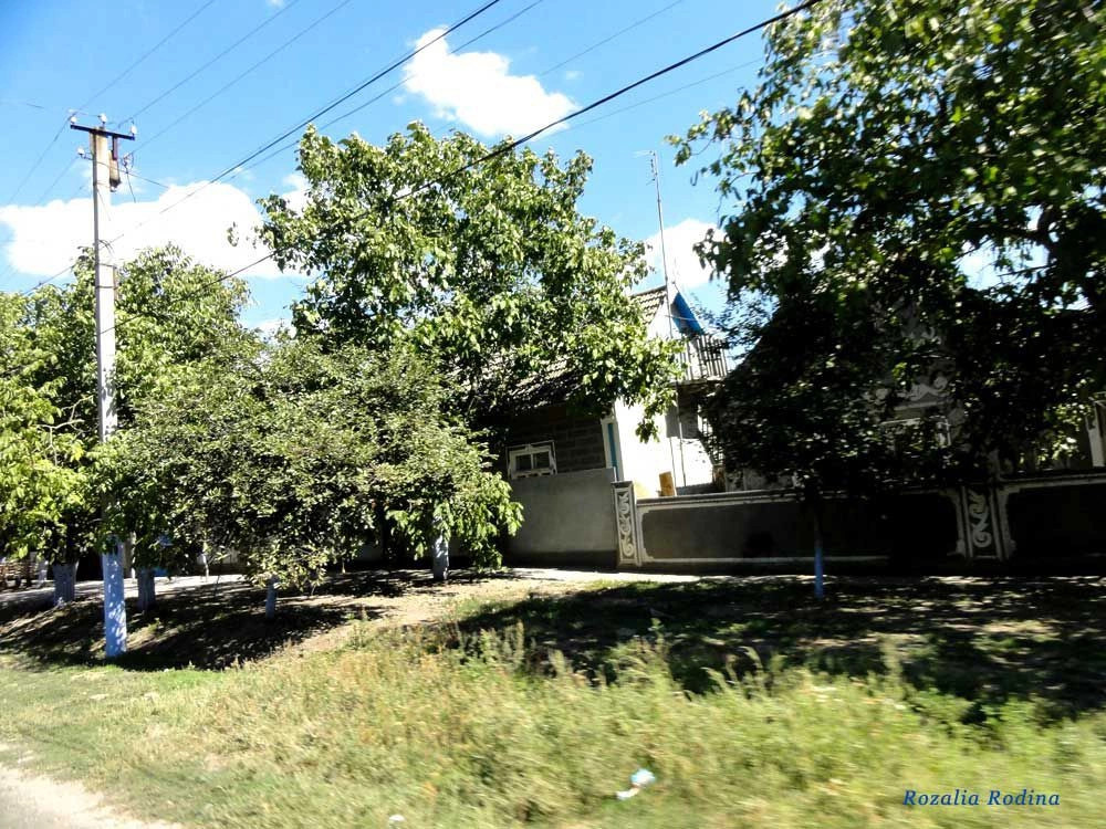 Спасское (Татарбунарский р-н)