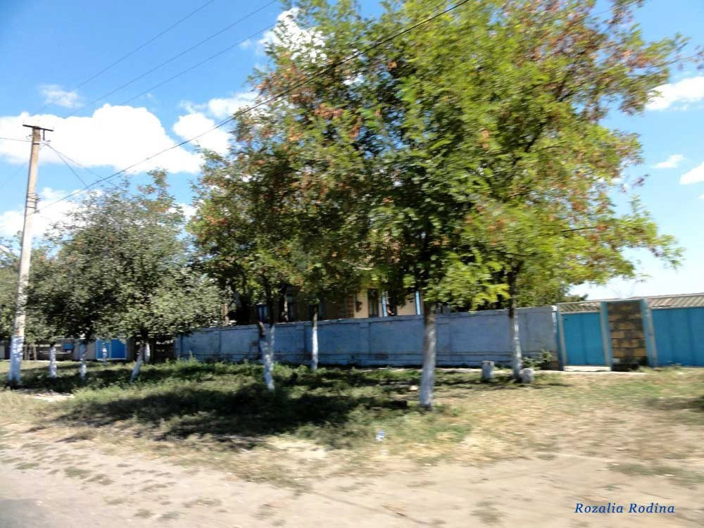 Спасское (Татарбунарский р-н)