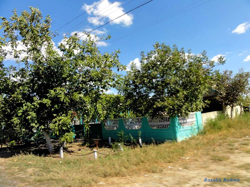 Спасское (Татарбунарский р-н)