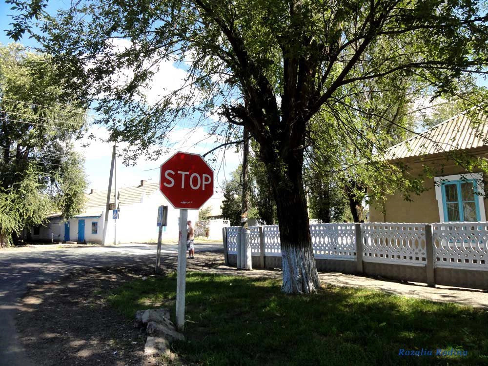 Спасское (Татарбунарский р-н)