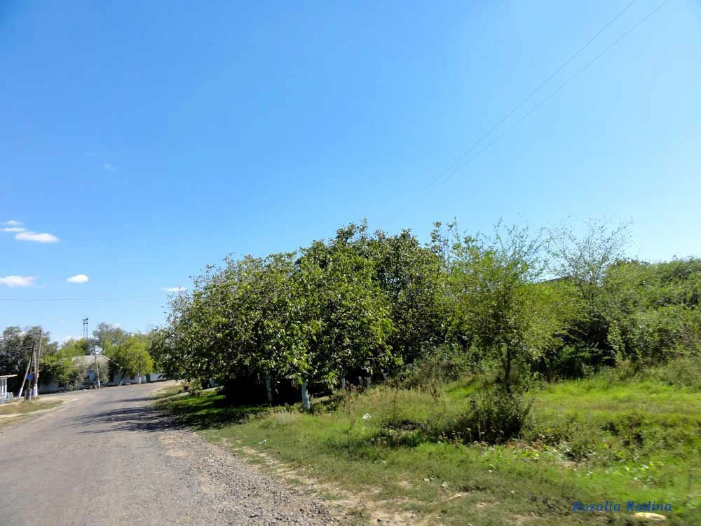 Струмок (Татарбунарский р-н)