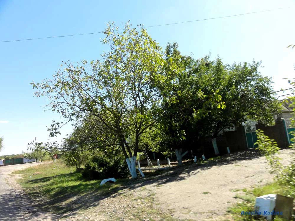 Струмок (Татарбунарский р-н)