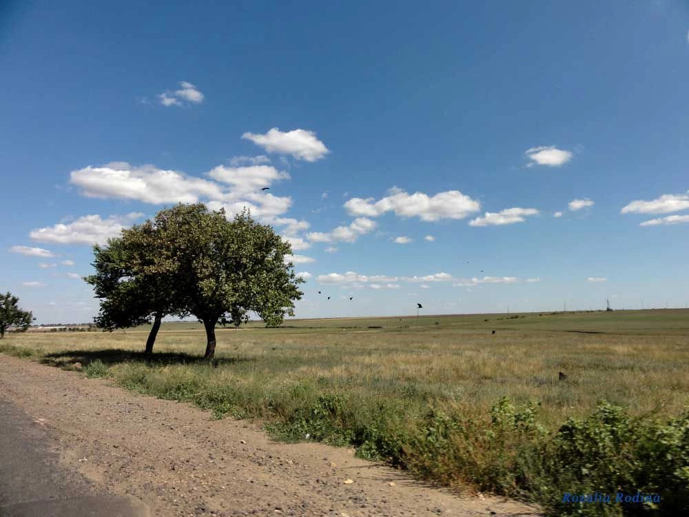 Струмок (Татарбунарский р-н)