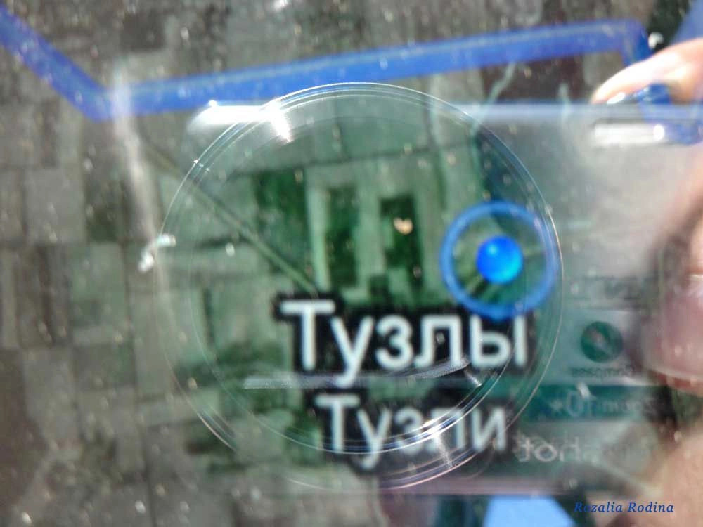 Тузлы (Татарбунарский р-н)