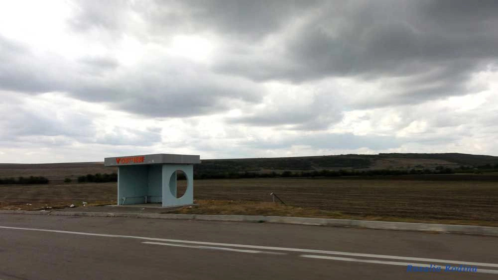 Жовтневое (Новоандреевский сельский совет)