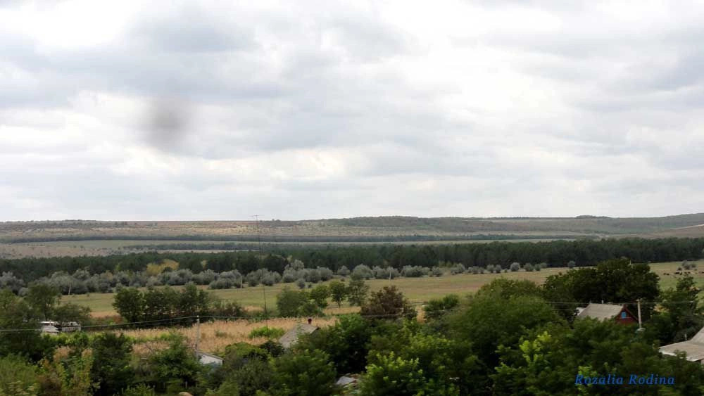 Ревова