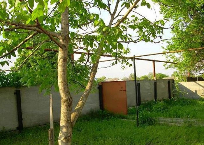 Китайгород (Царичанский р-н)
