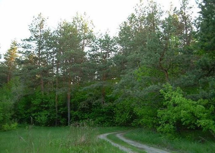 Китайгород (Царичанский р-н)