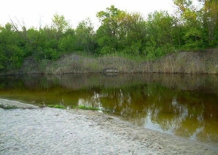 Китайгород (Царичанский р-н)