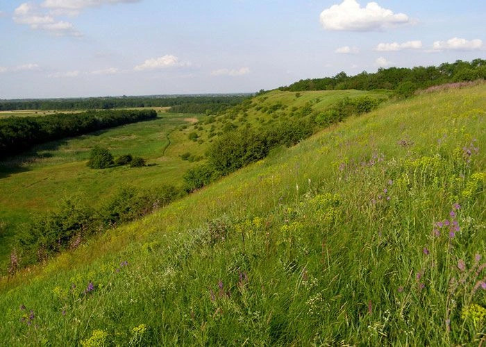 Китайгород (Царичанский р-н)