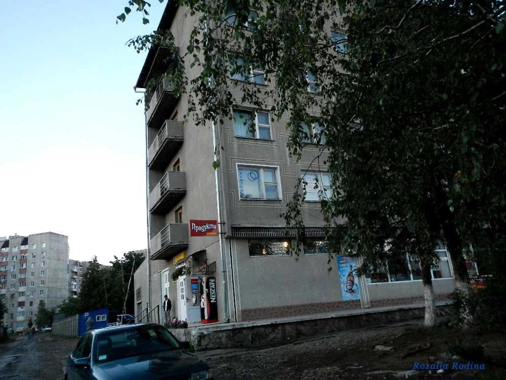 Коломыйский район