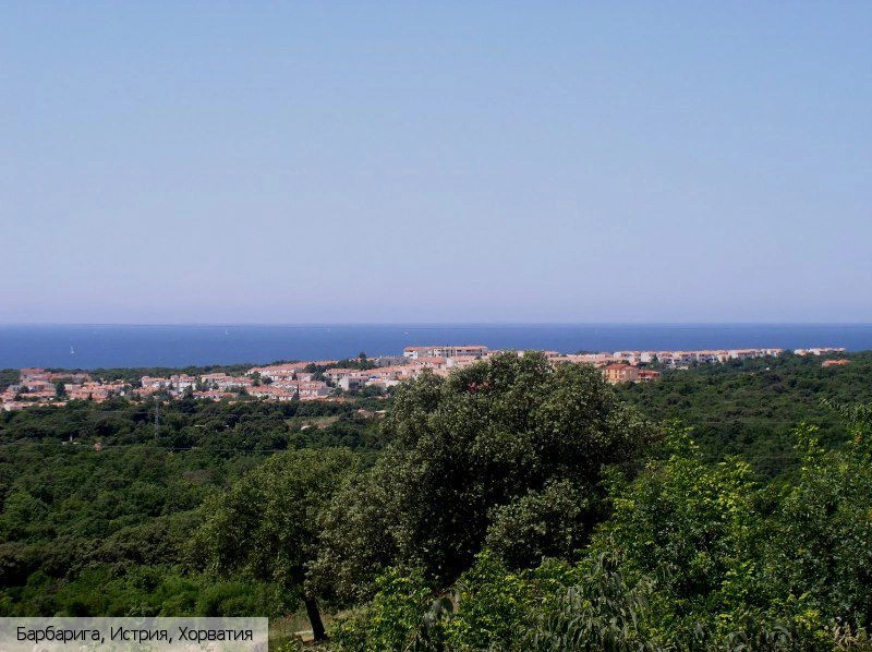 Барбарига