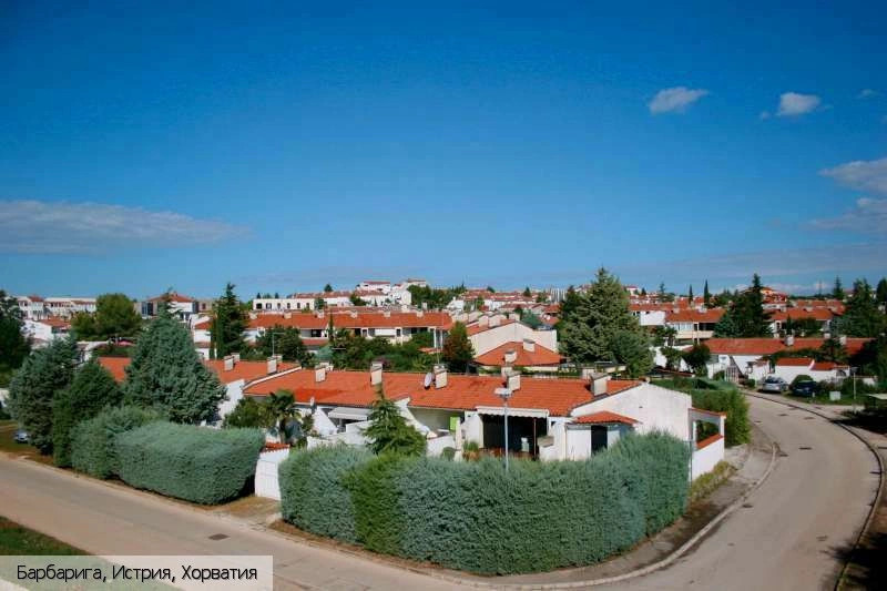 Барбарига