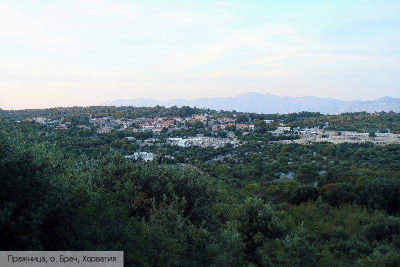 Пражница