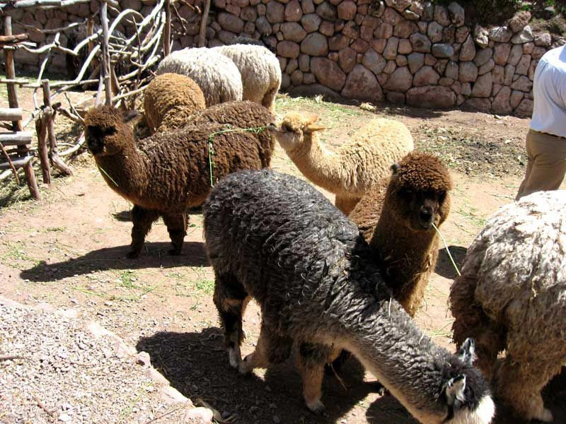 Куско