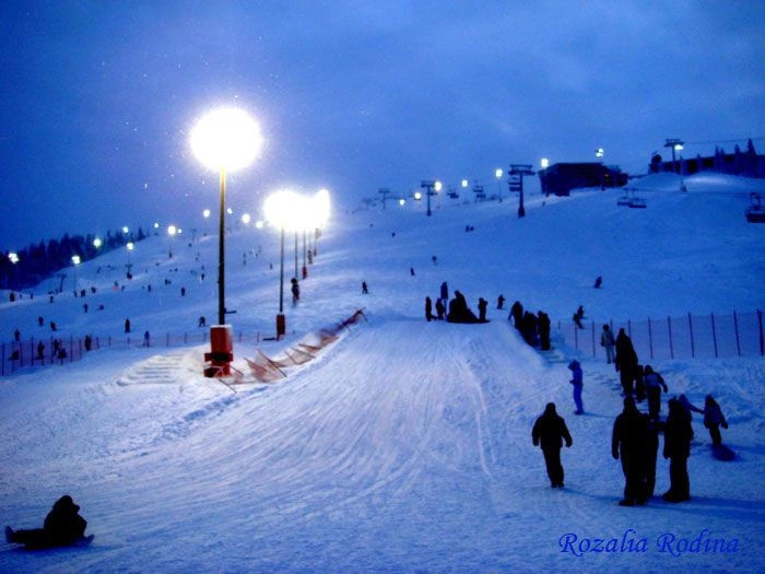 Леви