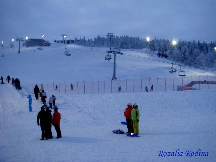 Леви