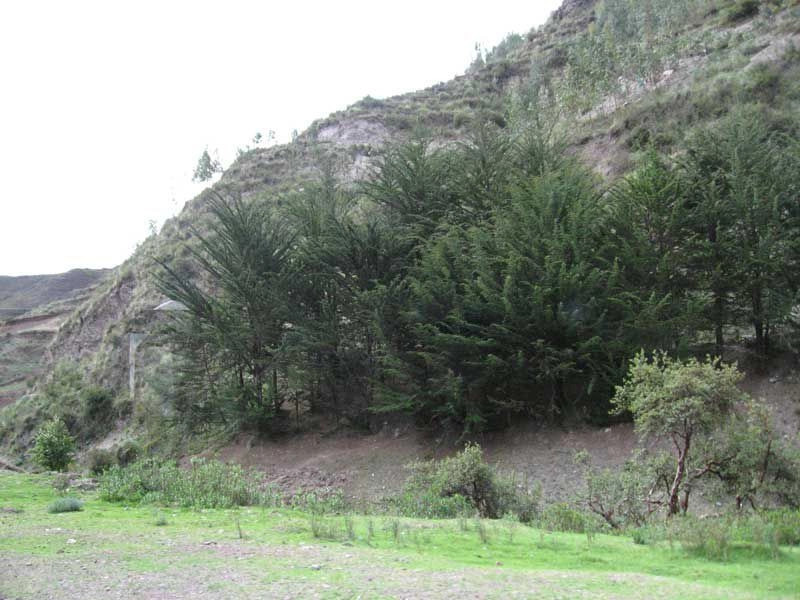 Куско