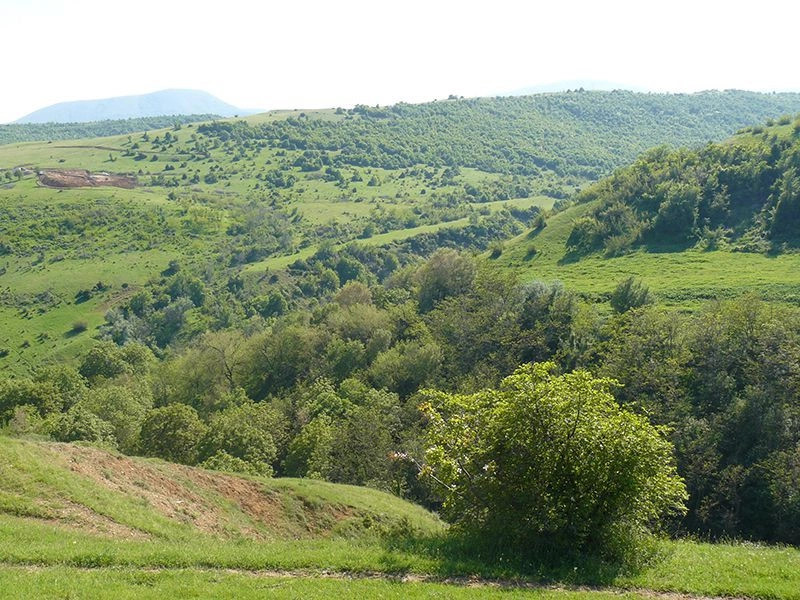 Вардарский регион