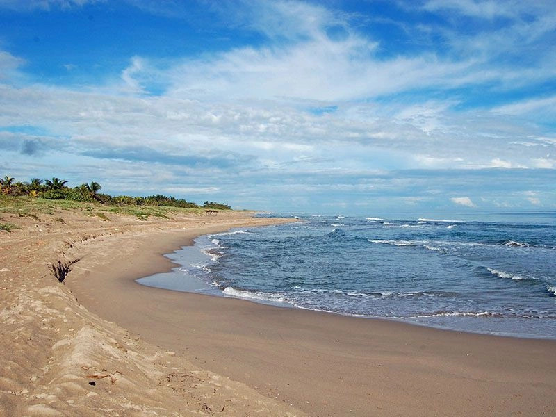 Колон (департамент)
