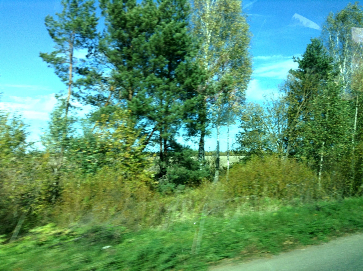 Кулицкая станция