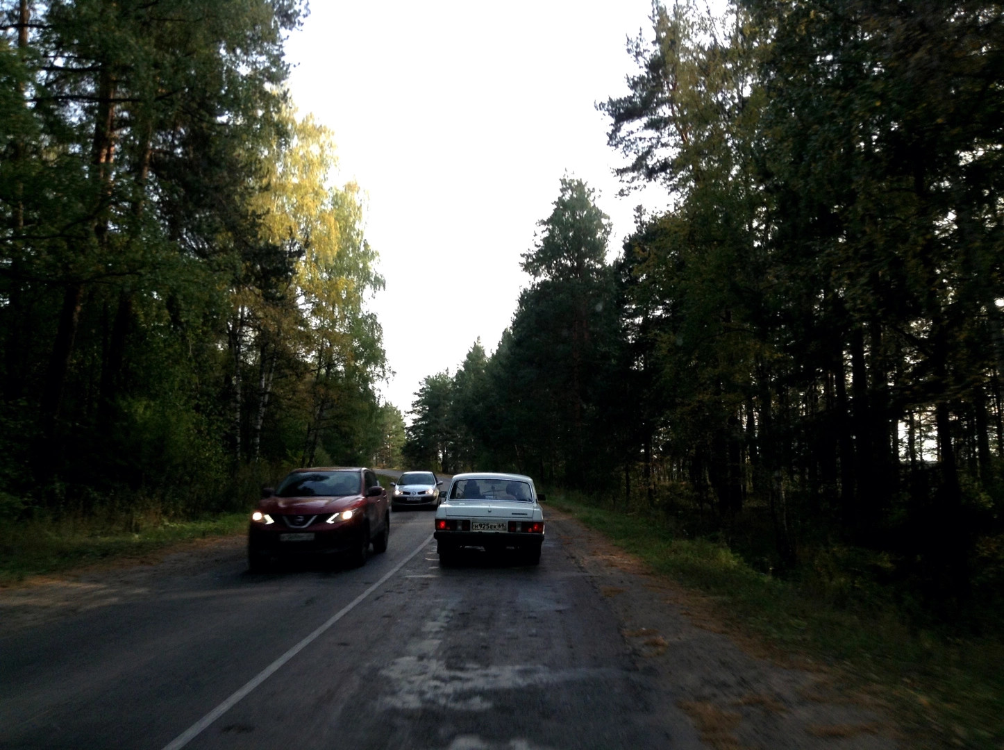 Змеево деревня (Михайловское с/п Калининский р-н Тверская об