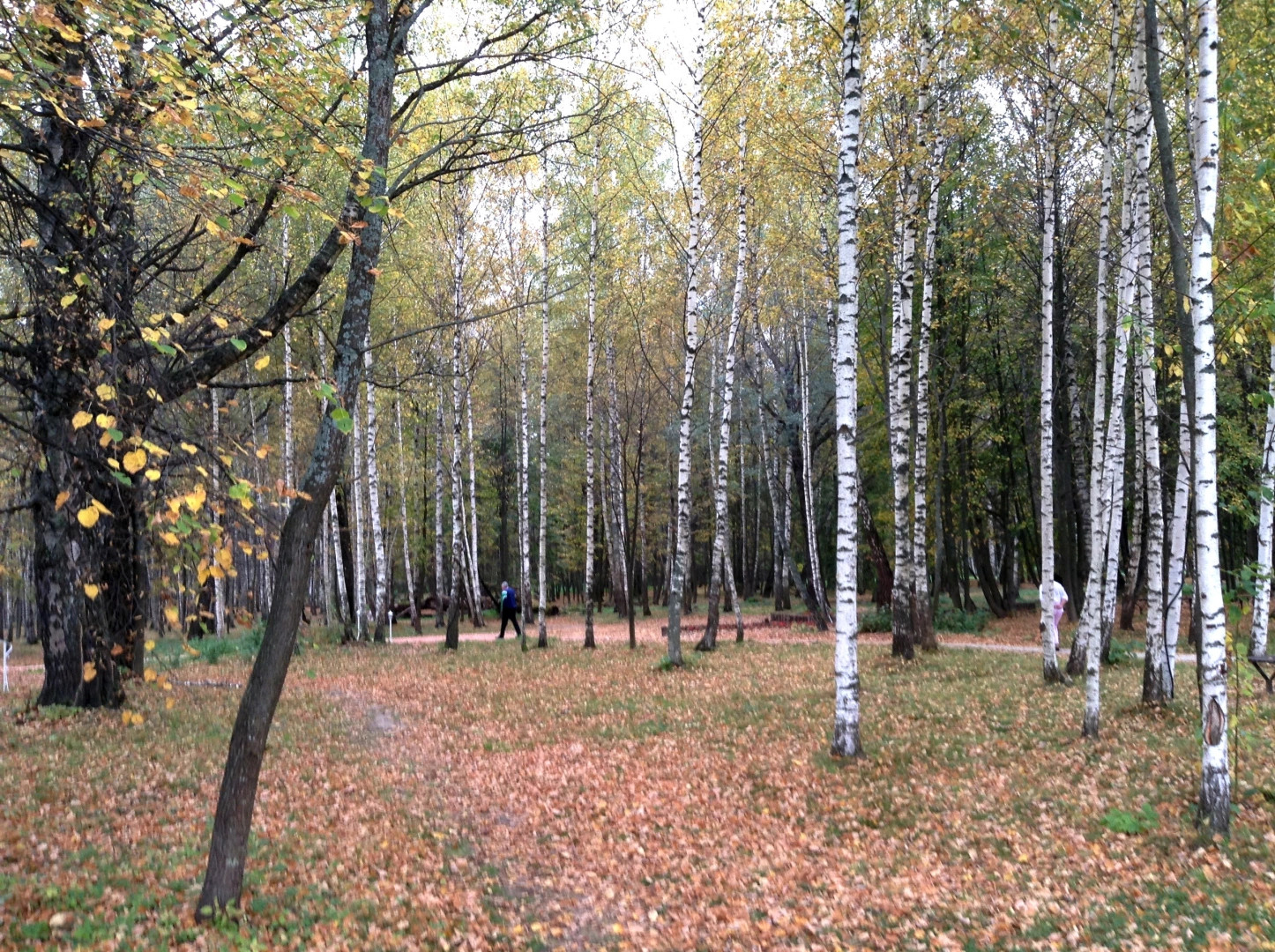 Старицкий район