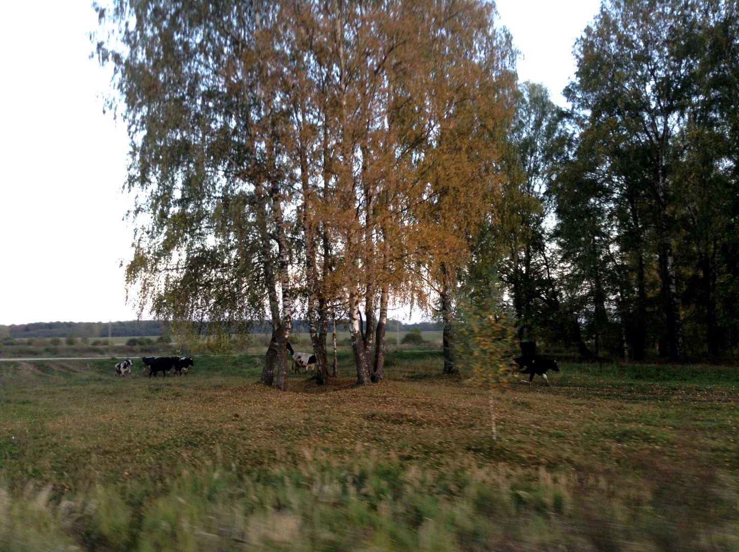 Пентурово деревня
